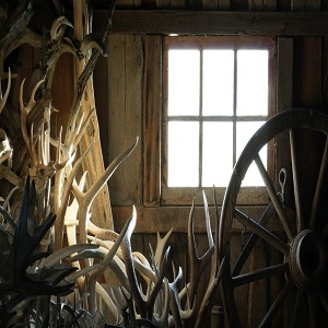 rural sheds